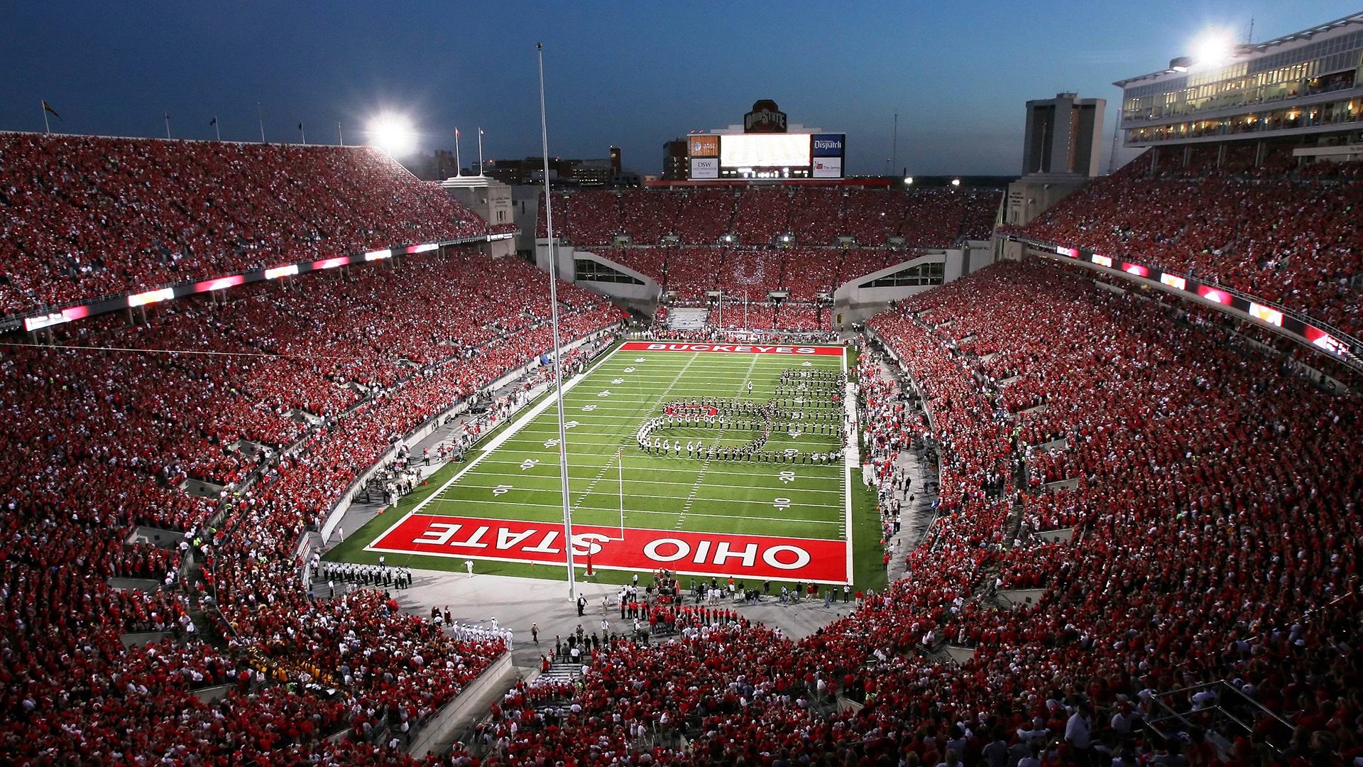 “南非羚羊队的复兴之路：萨尔·巴赫的关键作用”